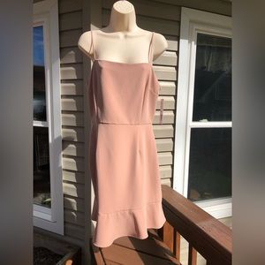 GIANI BINI Blush Dress 8 NWT